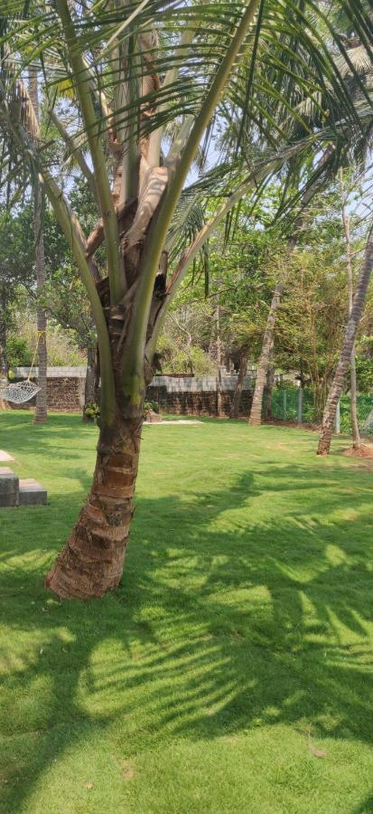 Bed and Breakfast Perch By The Sea Kannur Exterior foto