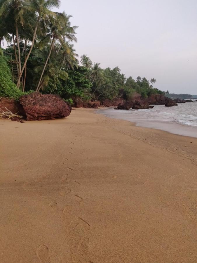 Bed and Breakfast Perch By The Sea Kannur Exterior foto