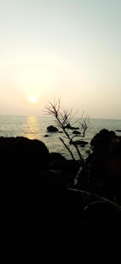 Bed and Breakfast Perch By The Sea Kannur Exterior foto